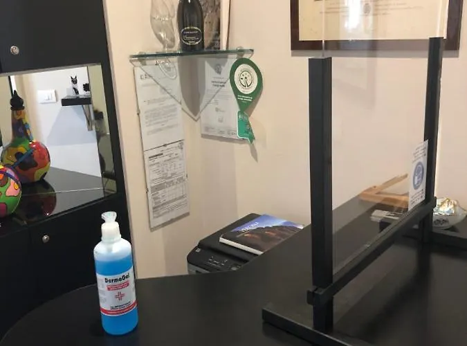 Cangrande Di Danese-viviani 维罗纳